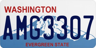 WA license plate AMG3307