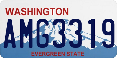 WA license plate AMG3319