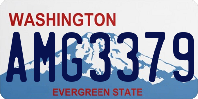 WA license plate AMG3379