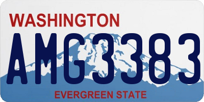 WA license plate AMG3383
