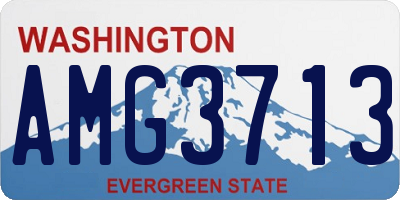 WA license plate AMG3713