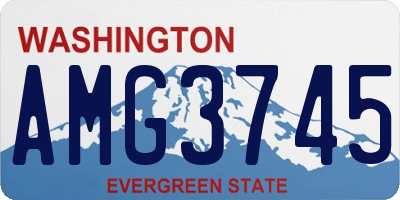 WA license plate AMG3745