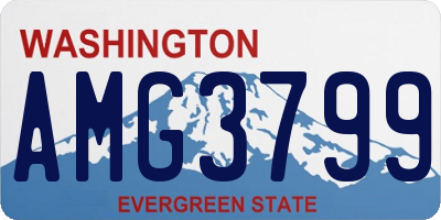 WA license plate AMG3799
