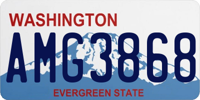 WA license plate AMG3868
