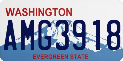 WA license plate AMG3918