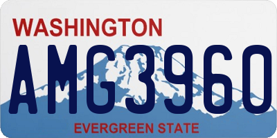 WA license plate AMG3960