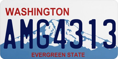 WA license plate AMG4313