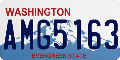 WA license plate AMG5163