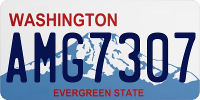 WA license plate AMG7307