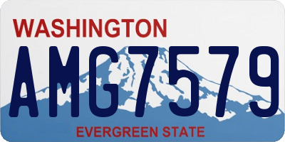 WA license plate AMG7579