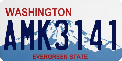 WA license plate AMK3141