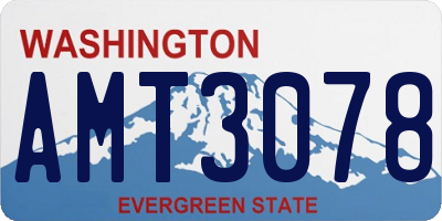 WA license plate AMT3078