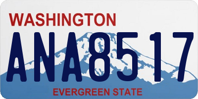 WA license plate ANA8517