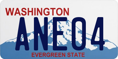 WA license plate ANE04