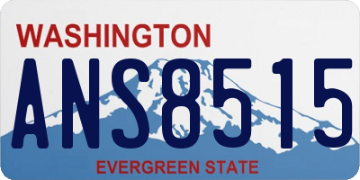 WA license plate ANS8515
