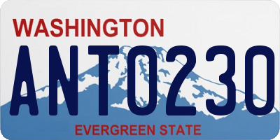 WA license plate ANT0230