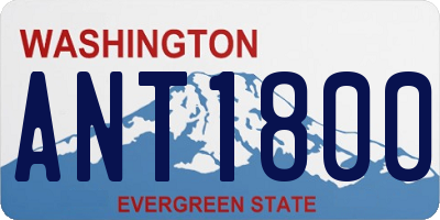 WA license plate ANT1800