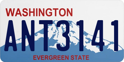 WA license plate ANT3141