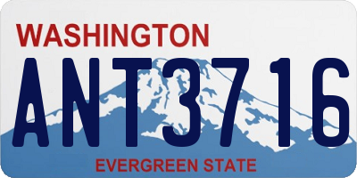 WA license plate ANT3716