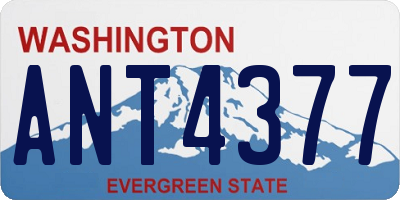 WA license plate ANT4377
