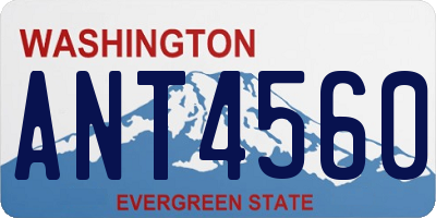 WA license plate ANT4560