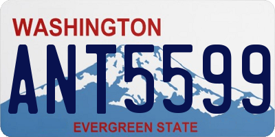 WA license plate ANT5599