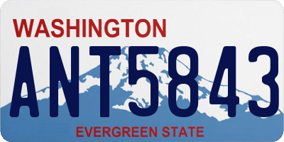 WA license plate ANT5843