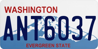 WA license plate ANT6037