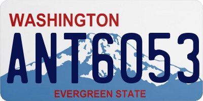 WA license plate ANT6053