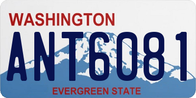 WA license plate ANT6081