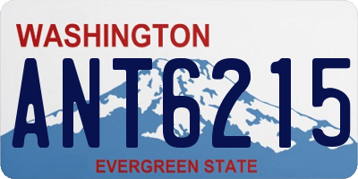 WA license plate ANT6215