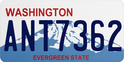 WA license plate ANT7362