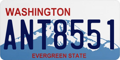 WA license plate ANT8551