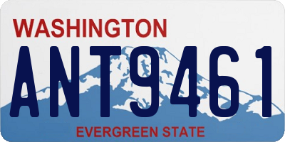 WA license plate ANT9461