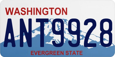 WA license plate ANT9928