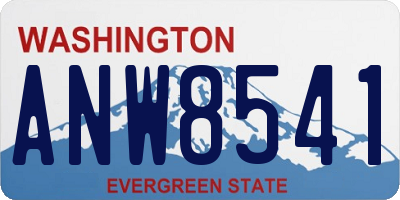 WA license plate ANW8541