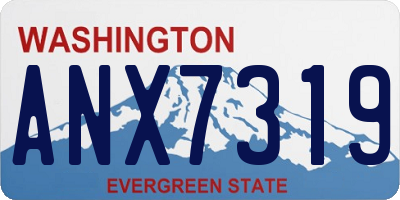 WA license plate ANX7319