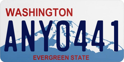 WA license plate ANY0441