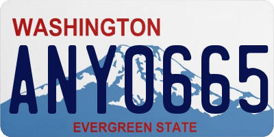 WA license plate ANY0665