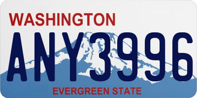 WA license plate ANY3996