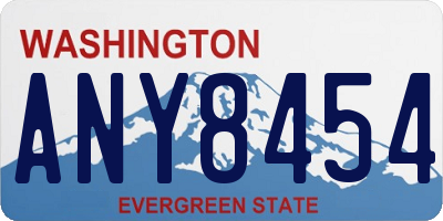 WA license plate ANY8454