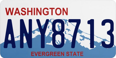 WA license plate ANY8713