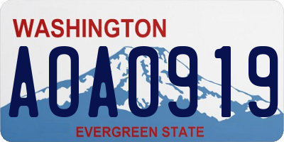WA license plate AOA0919