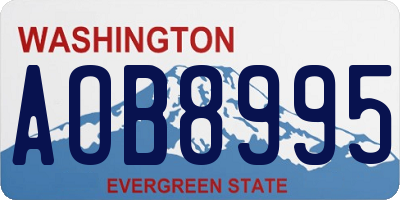 WA license plate AOB8995