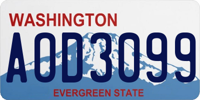 WA license plate AOD3099