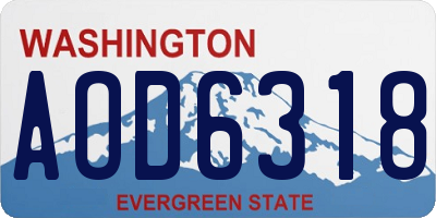 WA license plate AOD6318