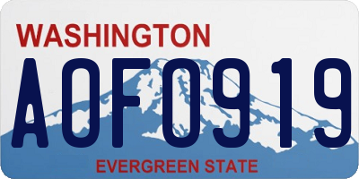 WA license plate AOFO919