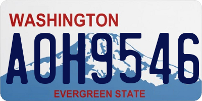 WA license plate AOH9546