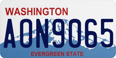 WA license plate AON9065