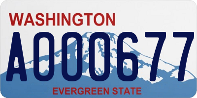 WA license plate AOO0677